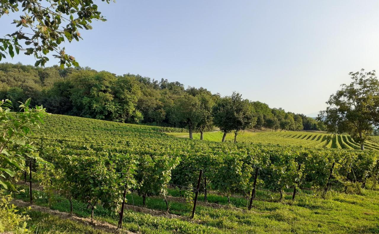 Vicolo Del Nido B&B Paderno Franciacorta Extérieur photo